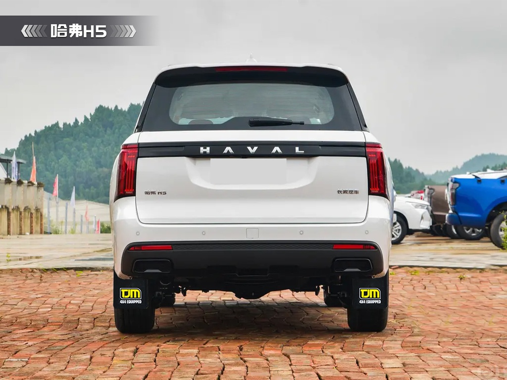 长城哈佛H5TJM挡泥板